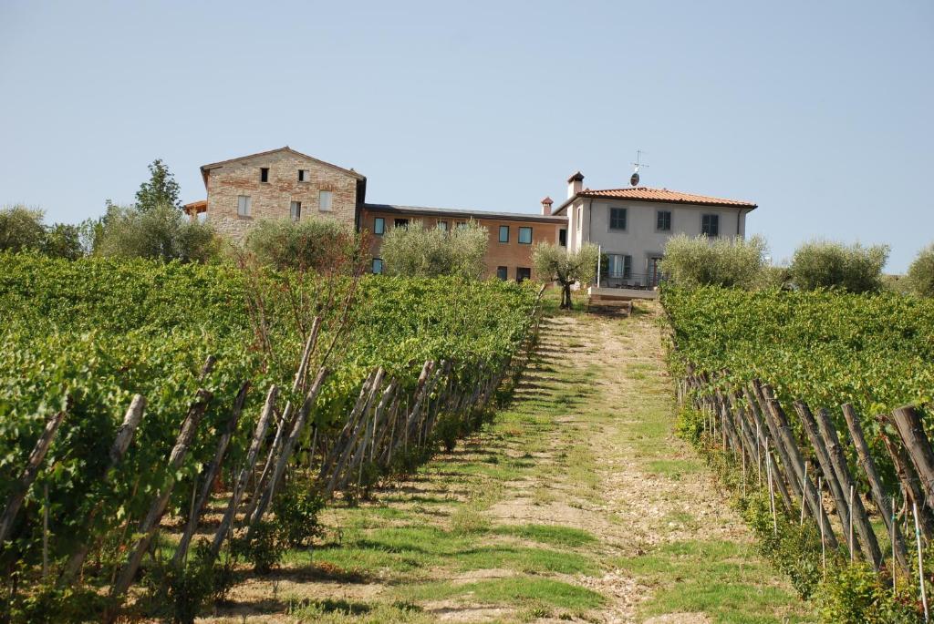 Roccafiore Spa & Resort Todi Buitenkant foto